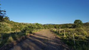 WhatsApp Image 2020-06-29 at 10.29.11 (1) - copia