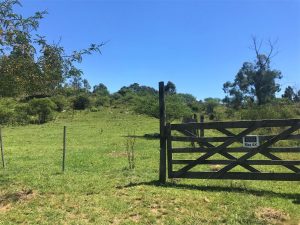 WhatsApp Image 2020-06-29 at 10.29.11 (2) - copia