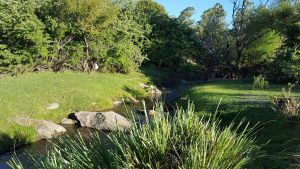 WhatsApp Image 2020-06-29 at 10.29.12 (2) - copia