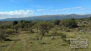 WhatsApp Image 2020-06-29 at 10.29.12 - copia