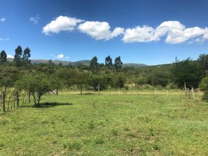 WhatsApp Image 2020-06-29 at 10.29.13 (3)