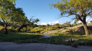 WhatsApp Image 2020-06-29 at 10.29.14 (1)