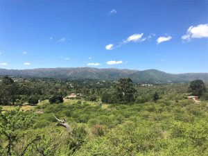 WhatsApp Image 2020-06-29 at 10.29.14 (2)