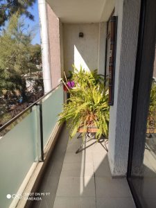 WhatsApp Image 2020-07-16 at 16.34.28