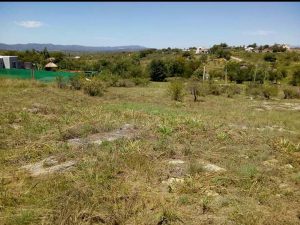 WhatsApp Image 2020-07-21 at 14.48.20 (1)