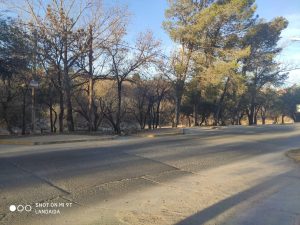 WhatsApp Image 2020-07-25 at 18.55.43