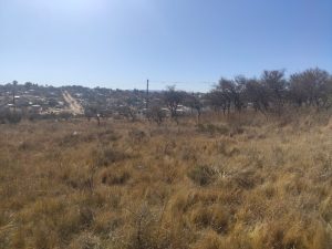 WhatsApp Image 2020-08-20 at 11.50.52