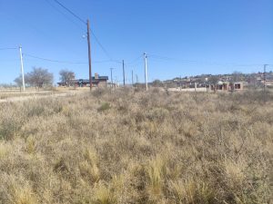 WhatsApp Image 2020-08-20 at 11.50.53