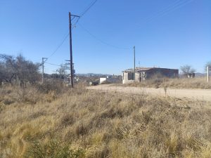 WhatsApp Image 2020-08-20 at 11.50.54